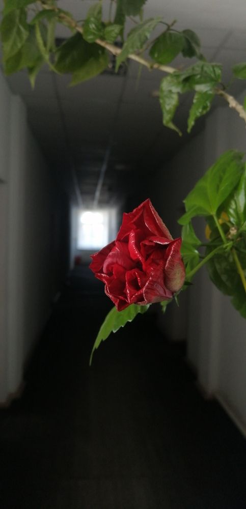 Photograph by Наталья Клячина