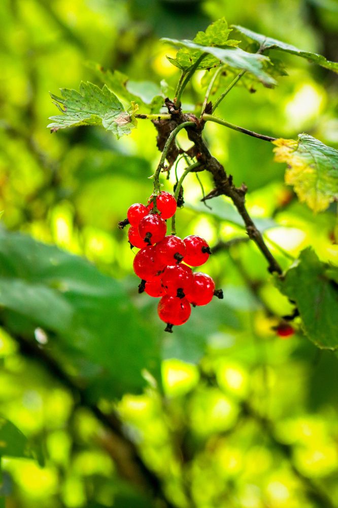 Photograph by Наталья Клячина