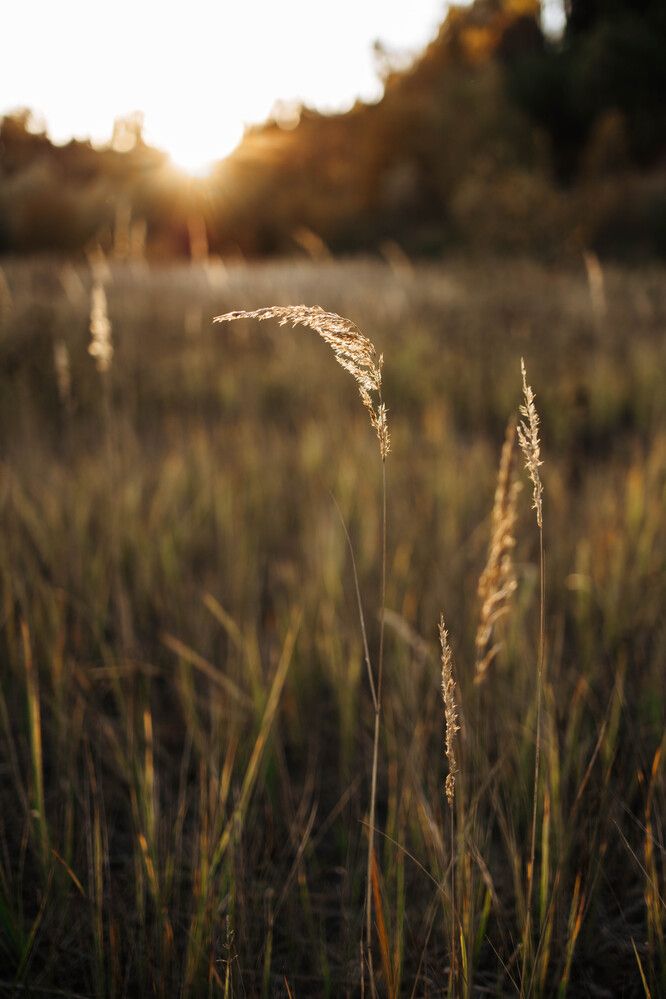 Photograph by Юлия Седова