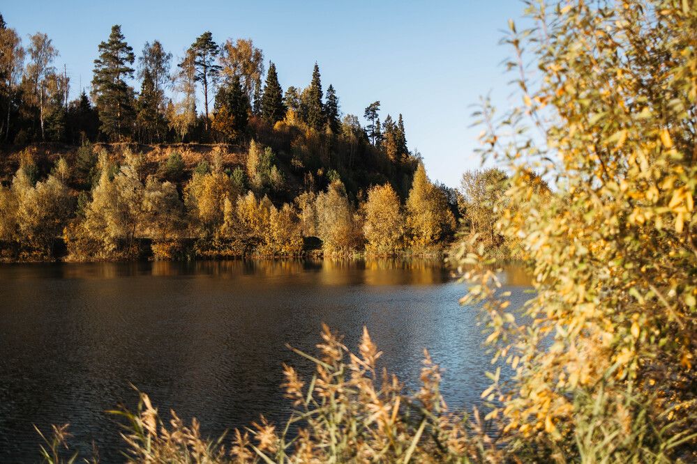 Photograph by Юлия Седова