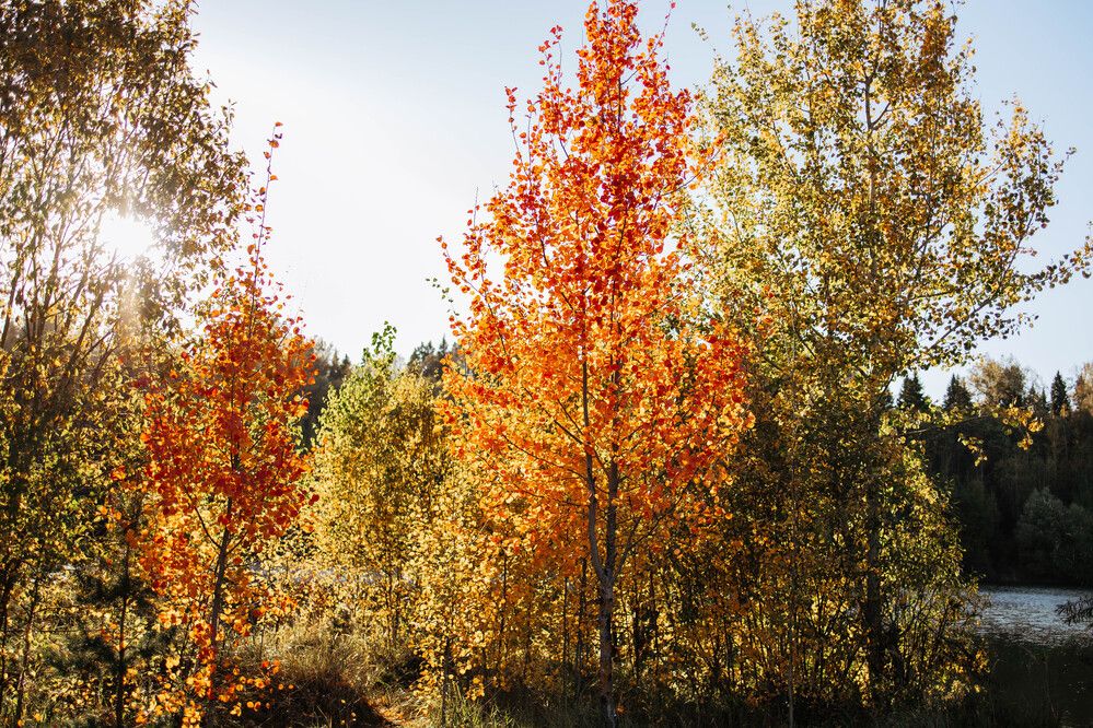 Photograph by Юлия Седова