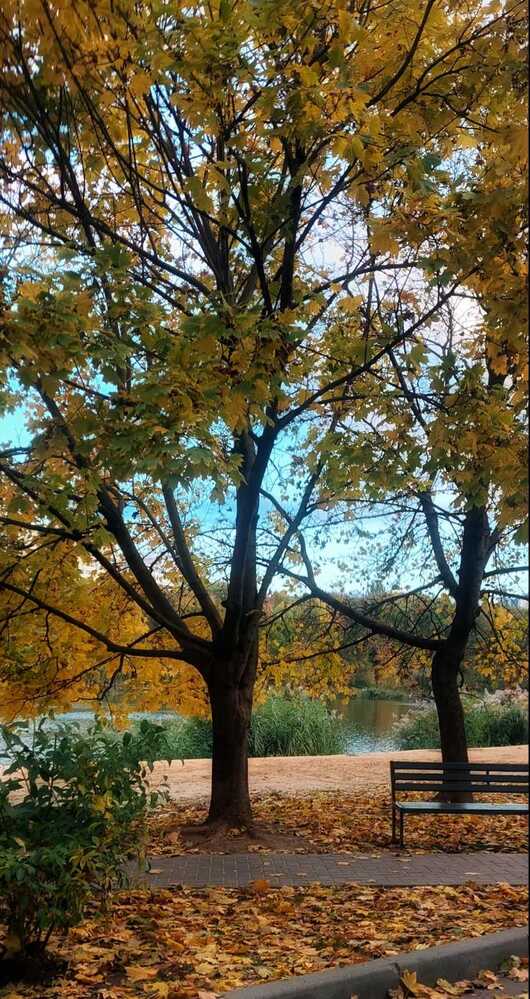 Photograph by Svitlana Usatenko