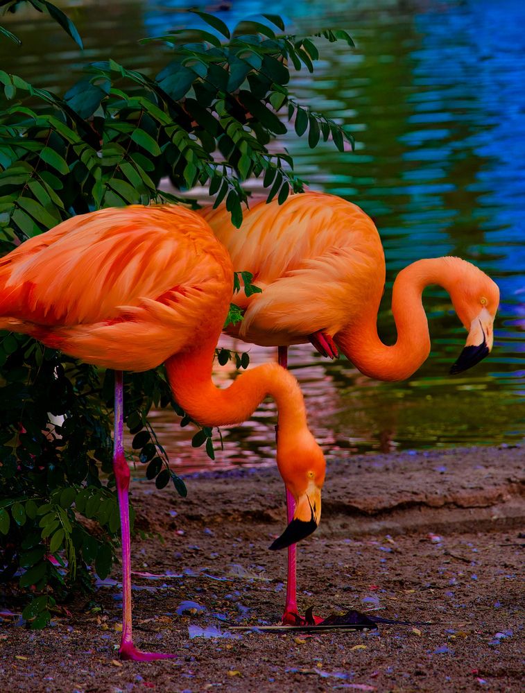 Photograph by Alena Tureva