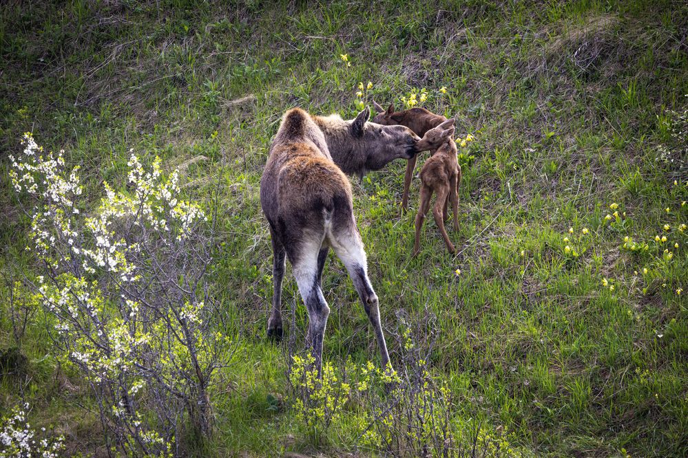 Photograph by Одаренко Ольга