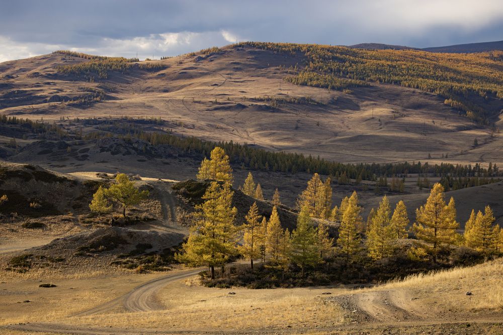 Photograph by Одаренко Ольга