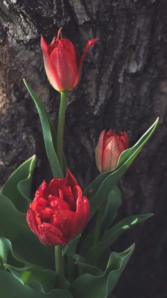 Фотография автора Войнов Дмитрий