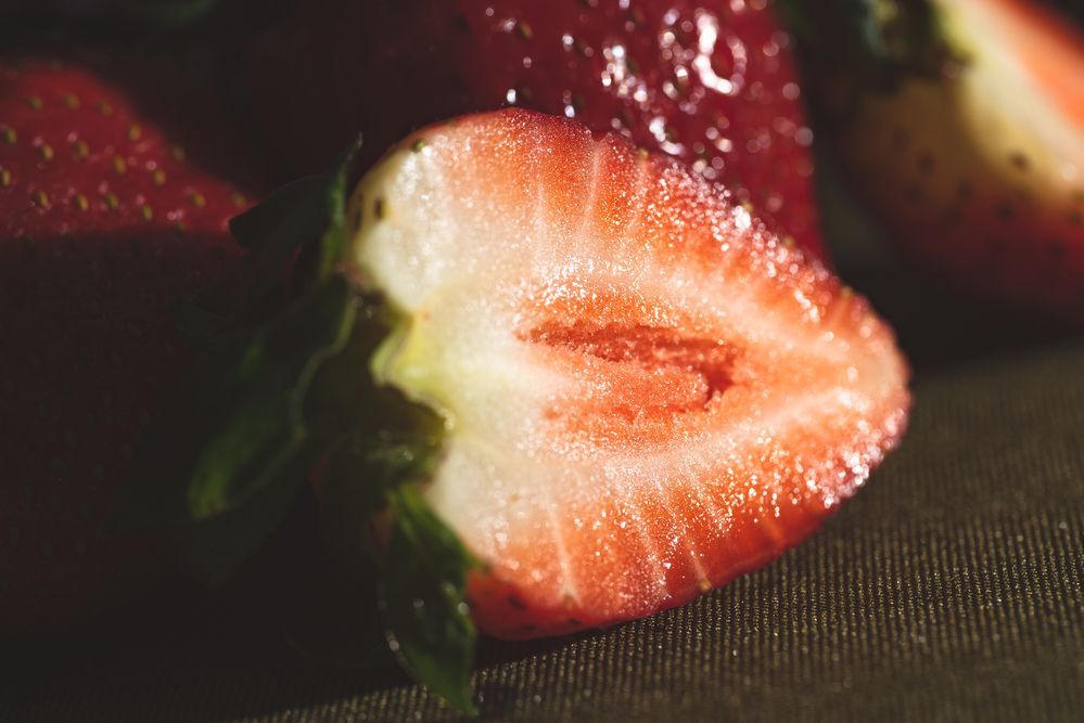 Фотография автора Войнов Дмитрий