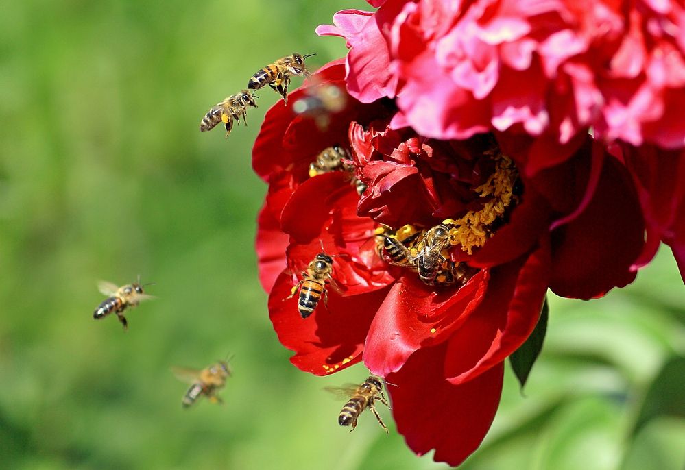 Photograph by Андрей Стародубцев