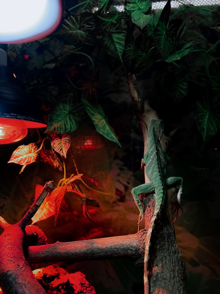 Photograph by Константин Шипицын