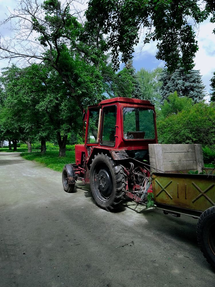 Photograph by Константин Шипицын