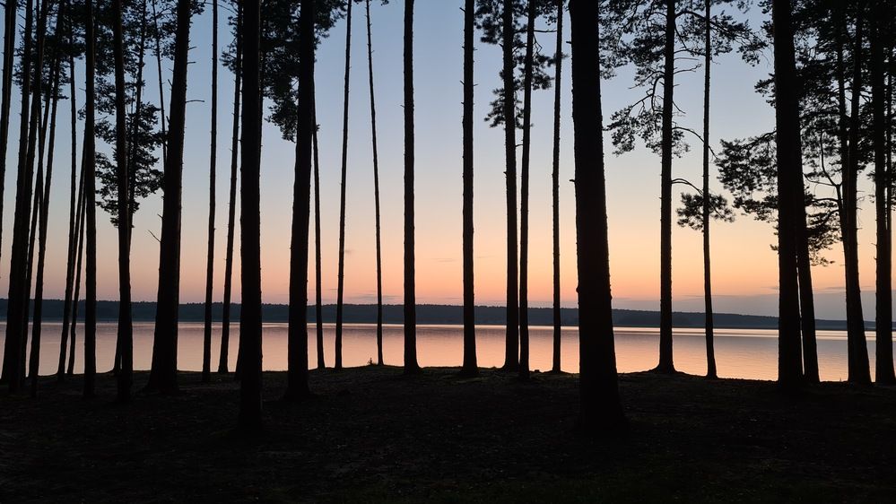 Фотография автора Ирина Дашевская