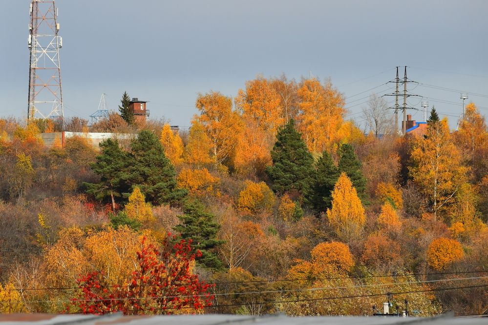 Photograph by Николай Абакумов