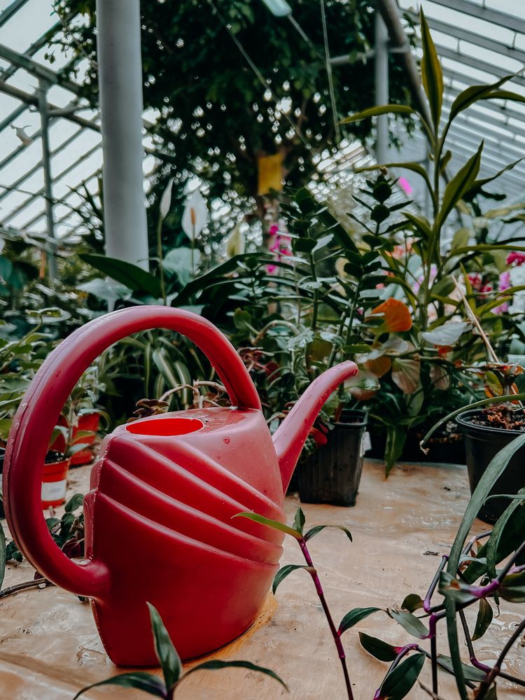 Photograph by Константин Шипицын