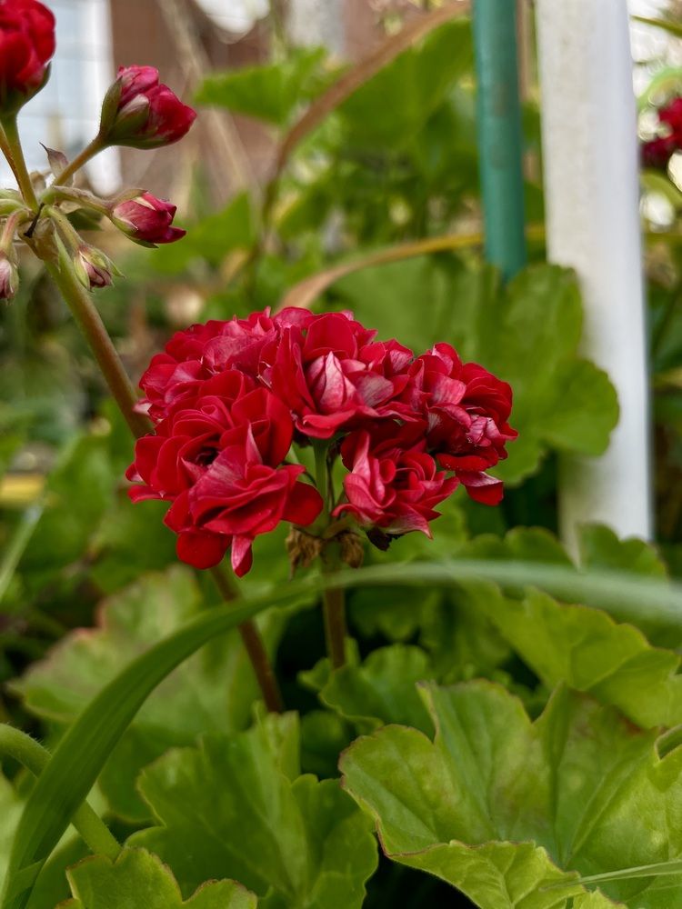 Photograph by Елизавета Большакова