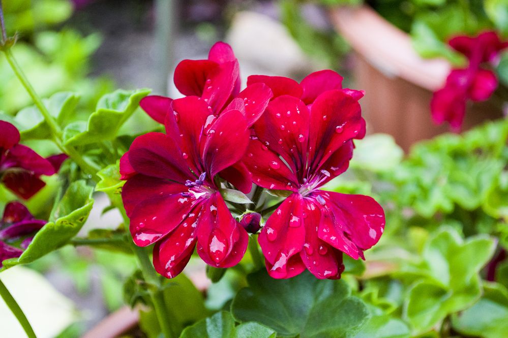 Photograph by Елизавета Большакова