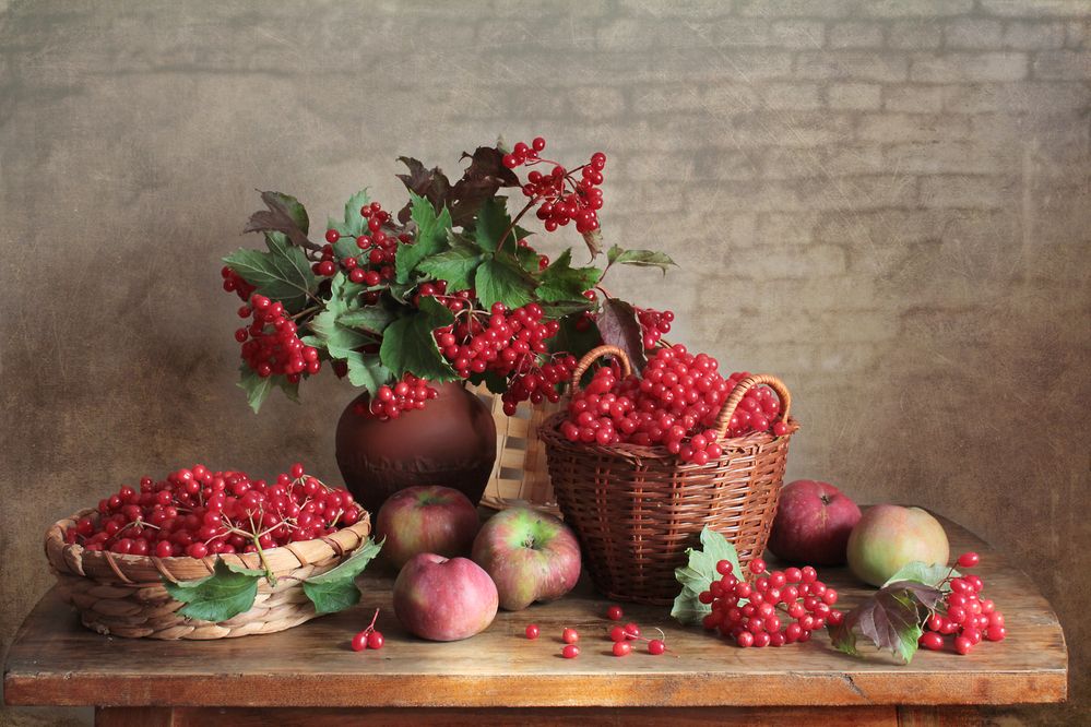 Фотография автора Ганина Галина