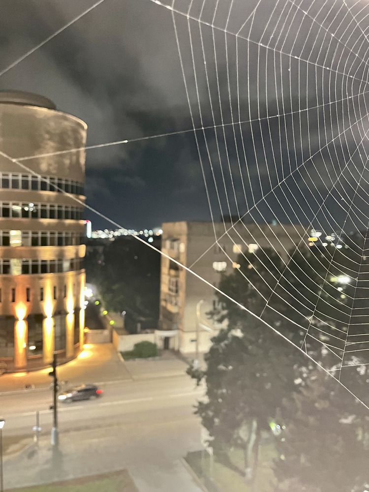 Photograph by Ирина Селиверстова