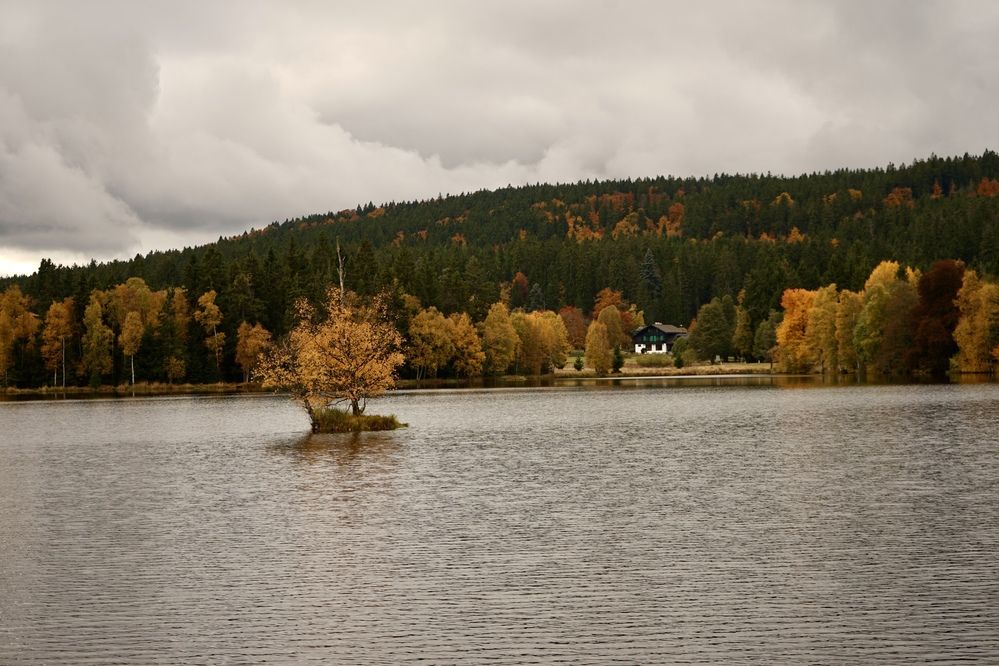 Photograph by Swetlana Brumm