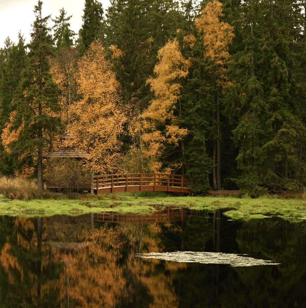 Photograph by Swetlana Brumm