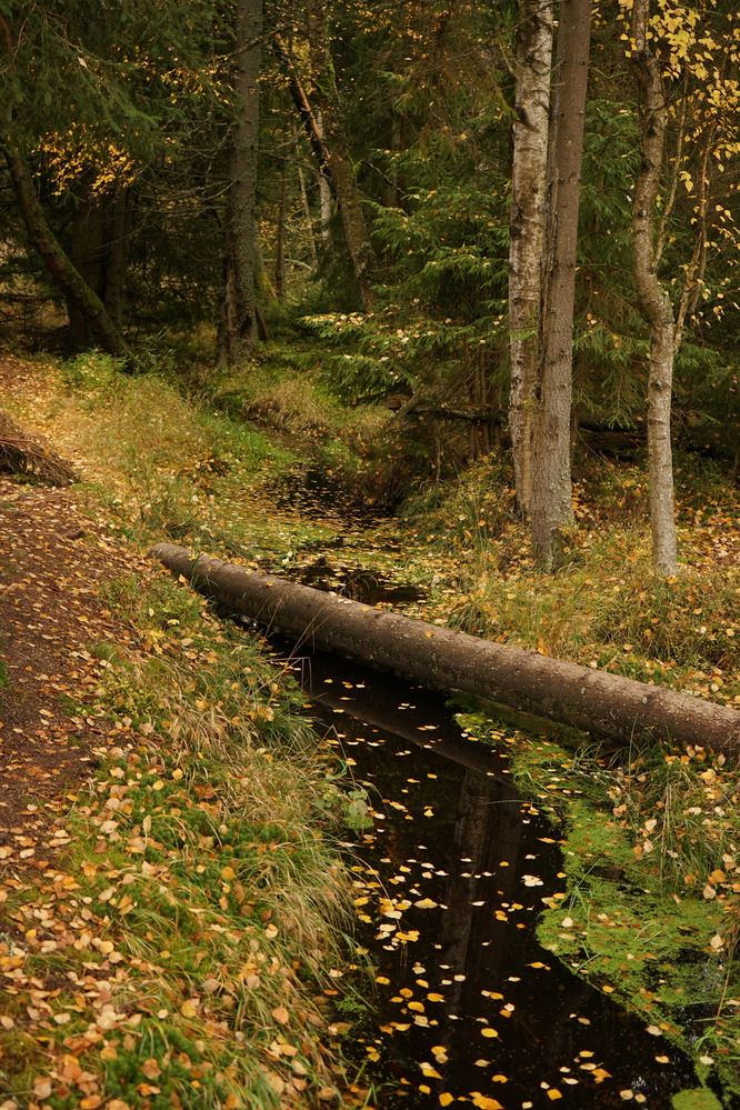 Photograph by Swetlana Brumm