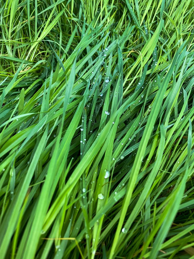 Photograph by Зинатулина Мария