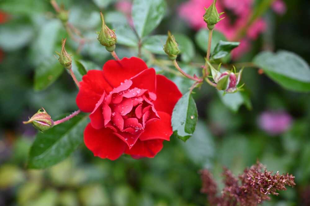 Photograph by Ксения