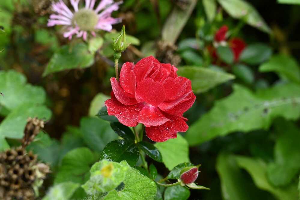 Photograph by Ксения