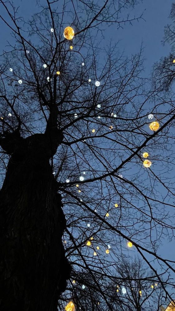 Photograph by Светлана Кавказская