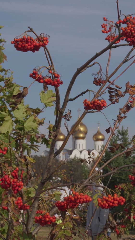 Photograph by Александр Климов