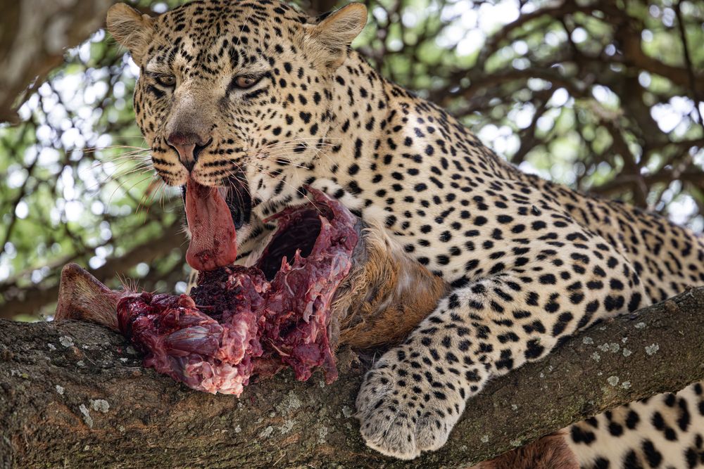 Photograph by Одаренко Ольга