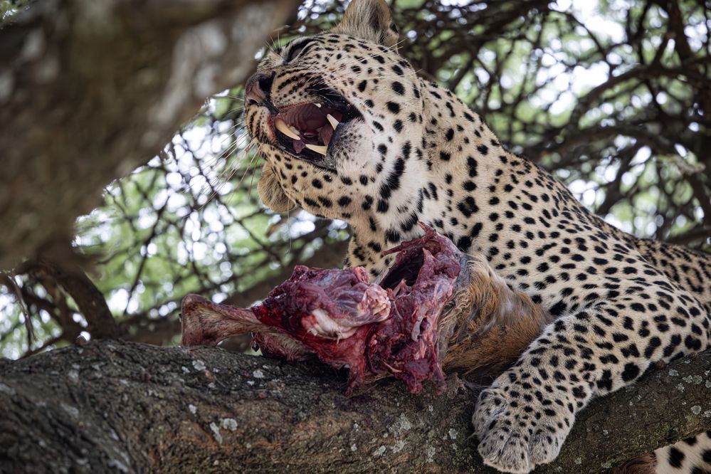 Photograph by Одаренко Ольга