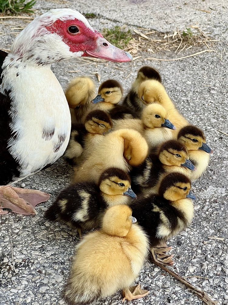 Photograph by Eleni Christogianni