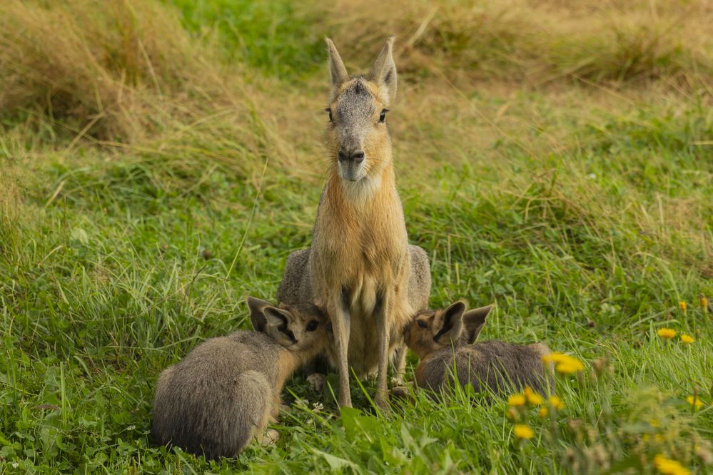 Photograph by Артур Павловский