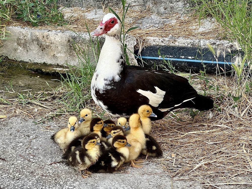 Photograph by Eleni Christogianni