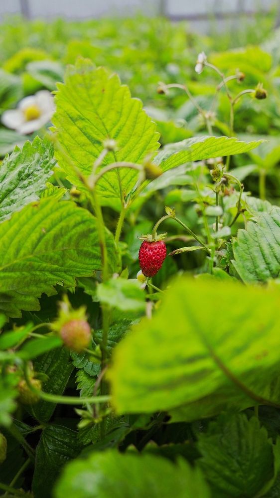 Photograph by Александр Климов