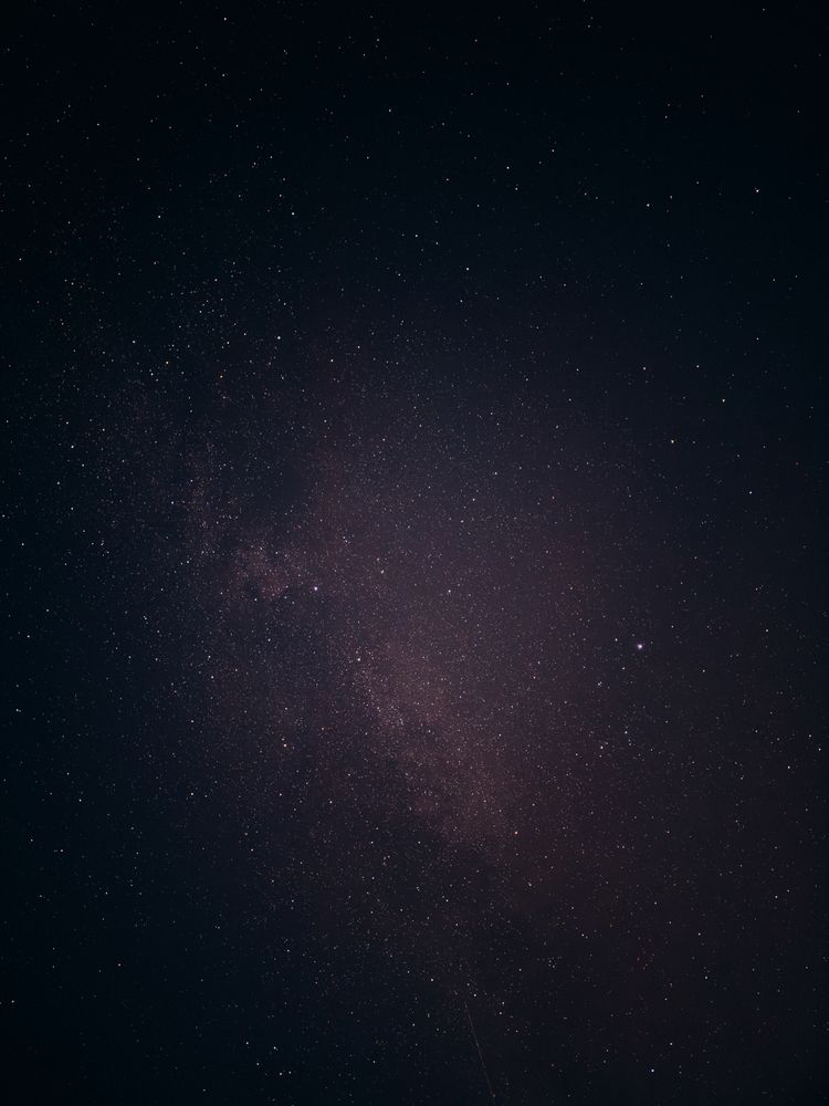 Photograph by ALISA NEZHINSKAYA