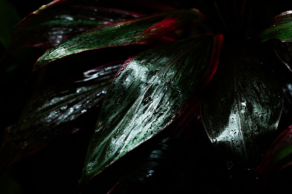 Photograph by 田村 健太