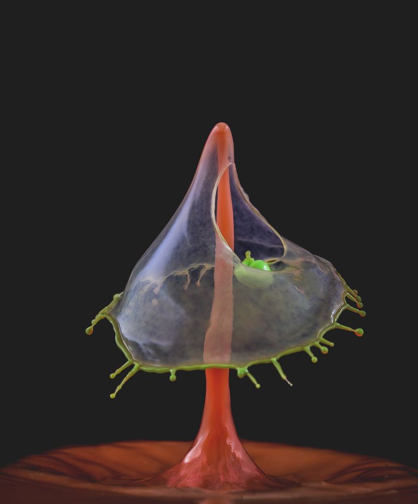 Photograph by Армашов-Тельник Григорий