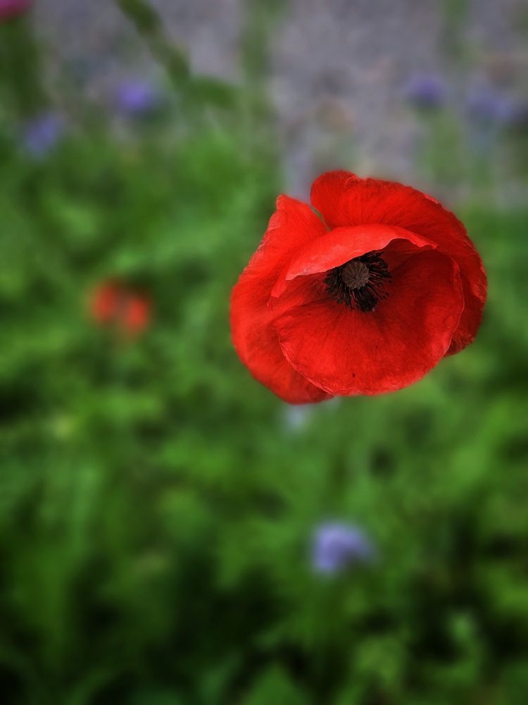 Photograph by Ольга Захарикова