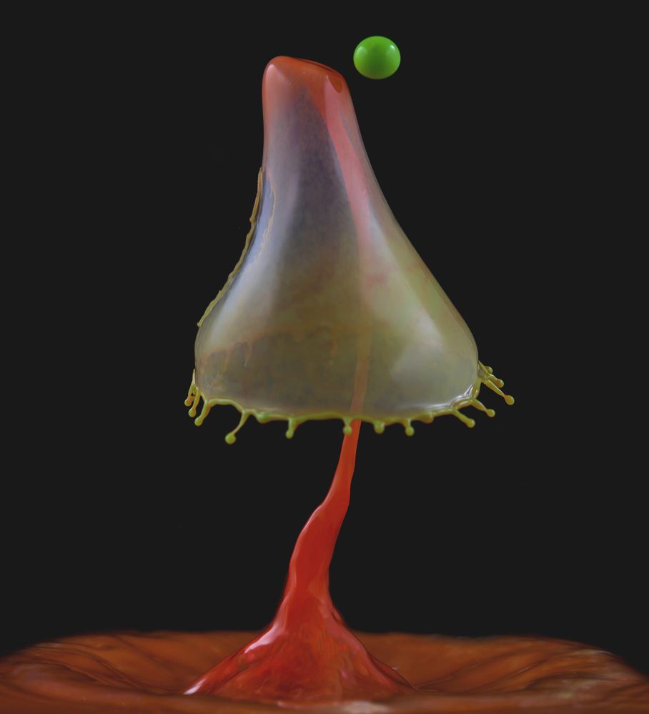 Photograph by Армашов-Тельник Григорий