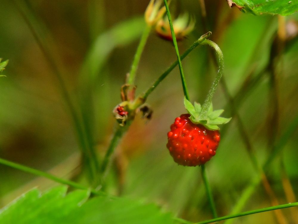 Photograph by Николай Абакумов