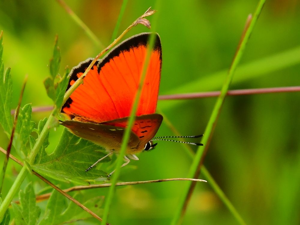 Photograph by Николай Абакумов