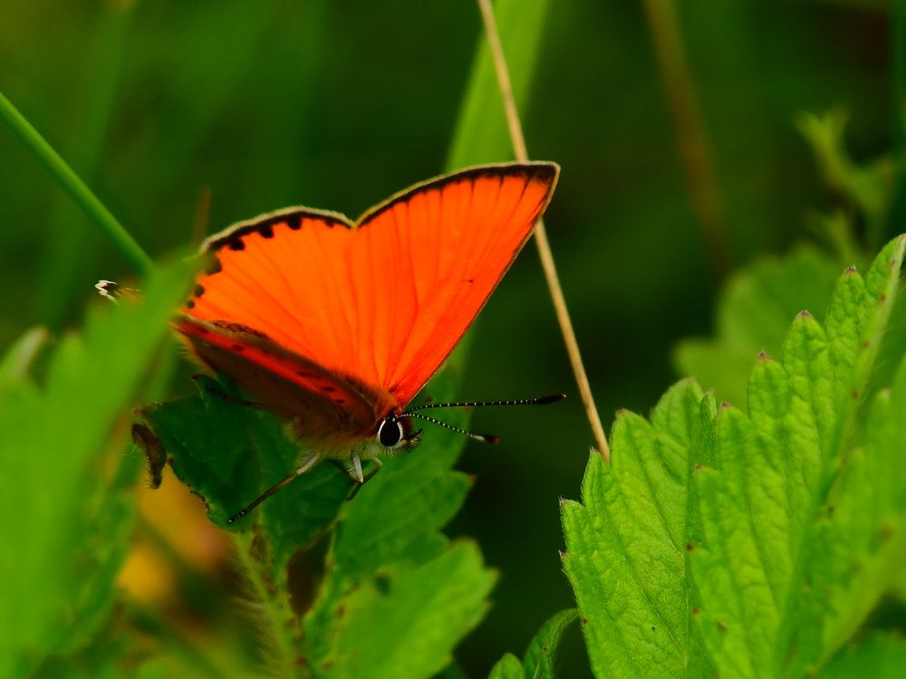 Photograph by Николай Абакумов