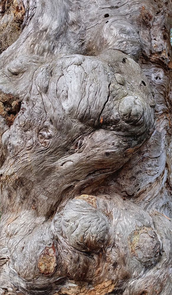 Photograph by Светлана