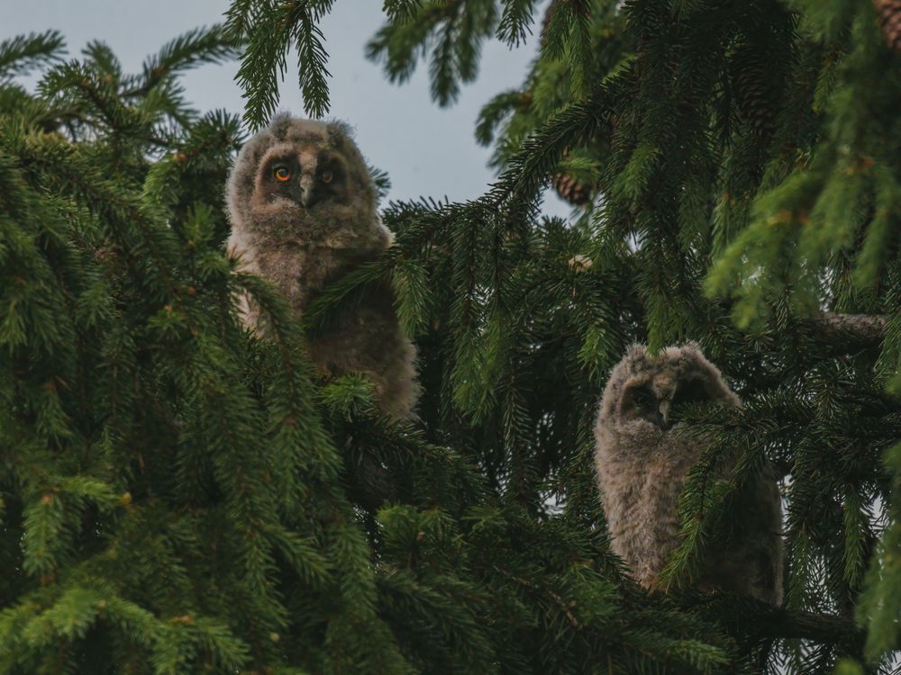 Photograph by Белоус Владислав