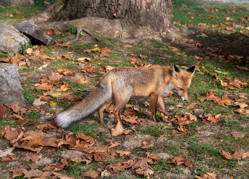 Photograph by Екатерина Крючкова