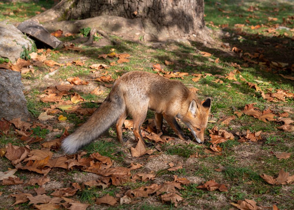 Photograph by Екатерина Крючкова