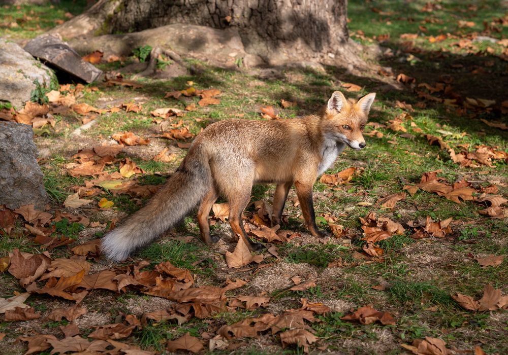 Photograph by Екатерина Крючкова