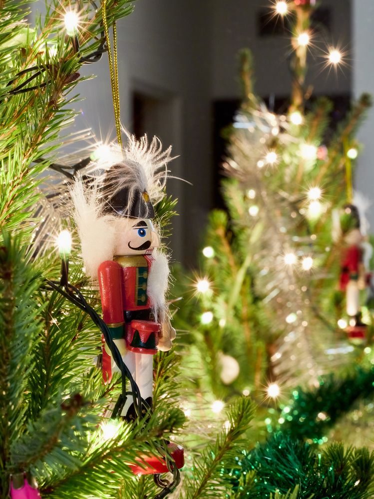 Photograph by Анастасия Васина