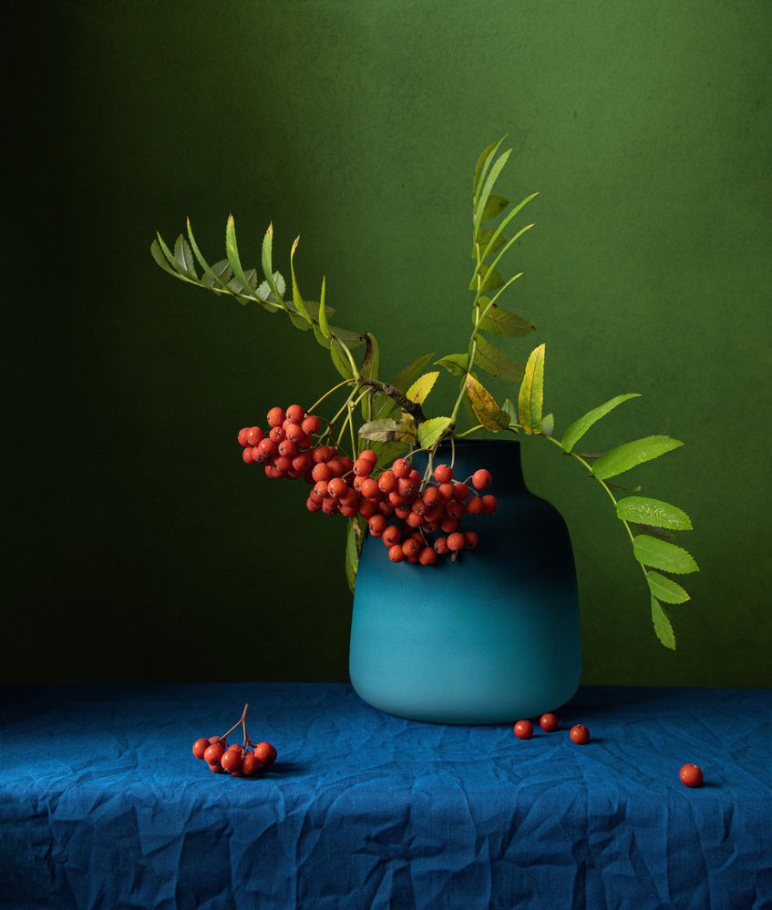 Красные ягоды